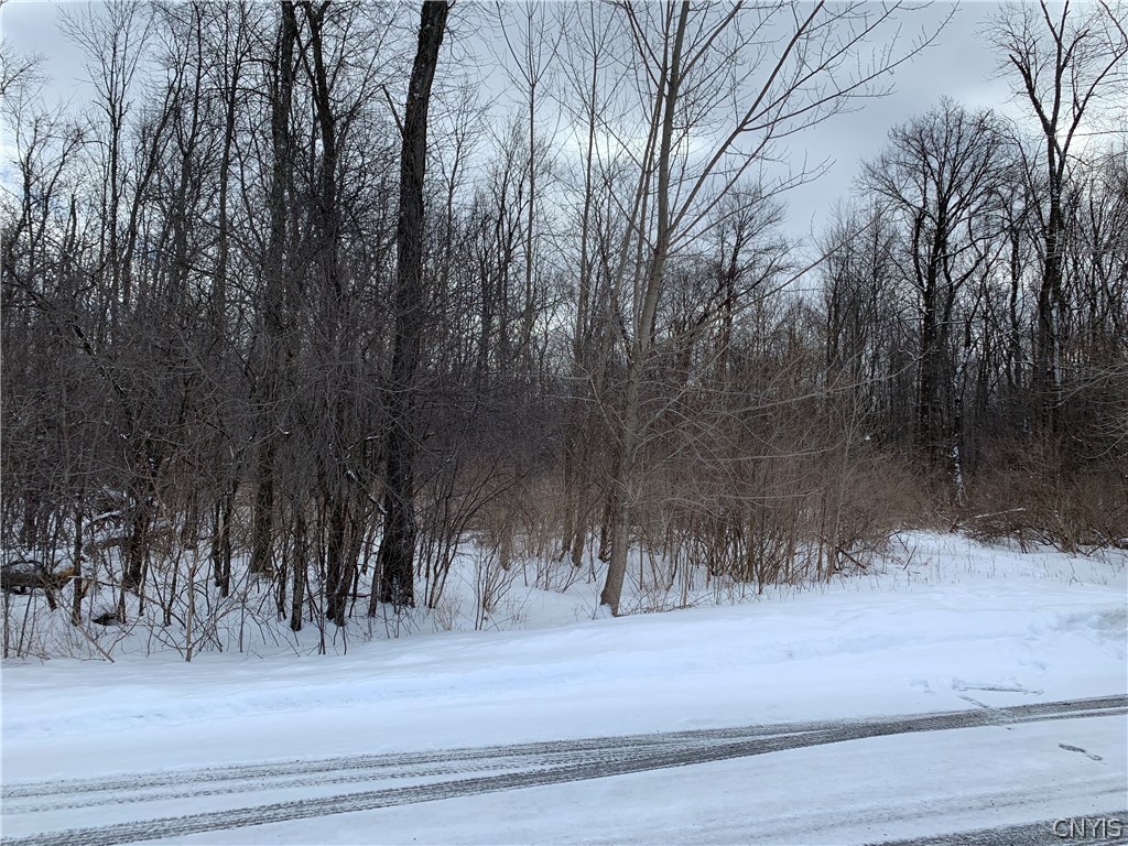 0 Purser Road Port Byron, NY 13140 - Photo 1 of 1 Gallery Image 1