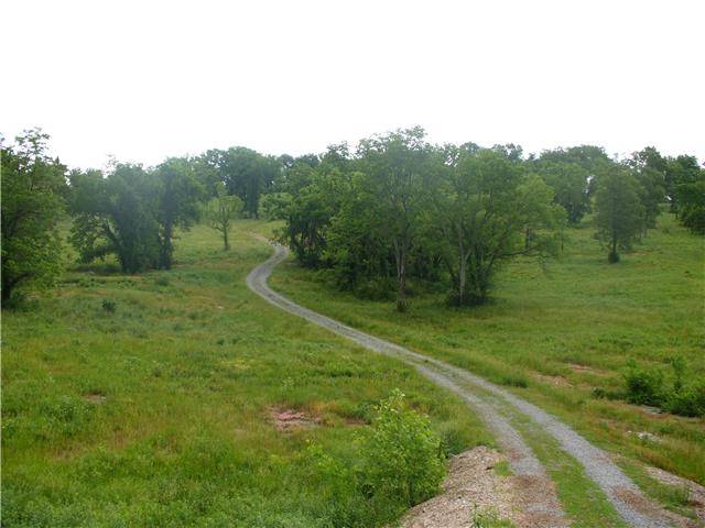 2 Cainsville Road Lebanon, TN 37090 - Photo 1 of 4 a big yard with lots of green space