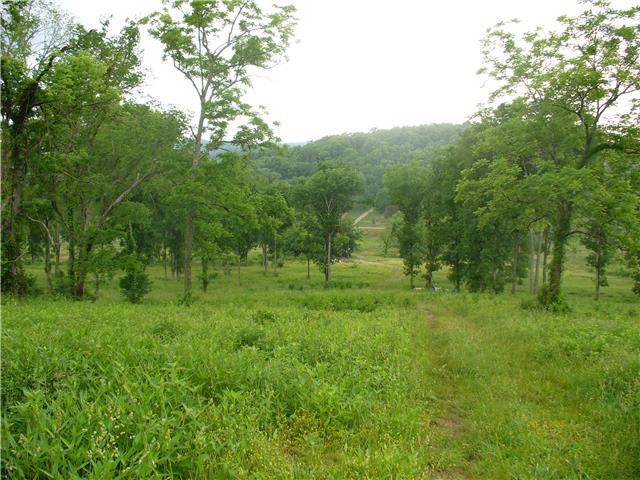 2 Cainsville Road Lebanon, TN 37090 - Photo 3 of 4 a view of a green field with lots of bushes