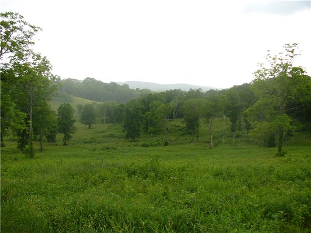 2 Cainsville Road Lebanon, TN 37090 - Photo 4 of 4 a view of a lush green space with sea