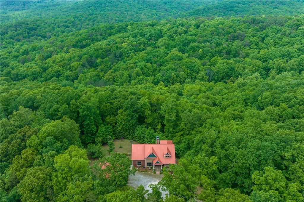 595 Bull Gap Road Talking Rock, GA 30175 - Photo 2 of 71 Gallery Image 2