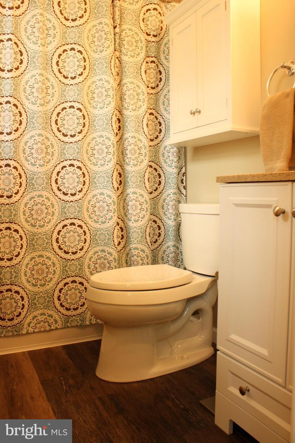 1702 Chester Road Chester, MD 21619 - Photo 16 of 28 Bath (Master)