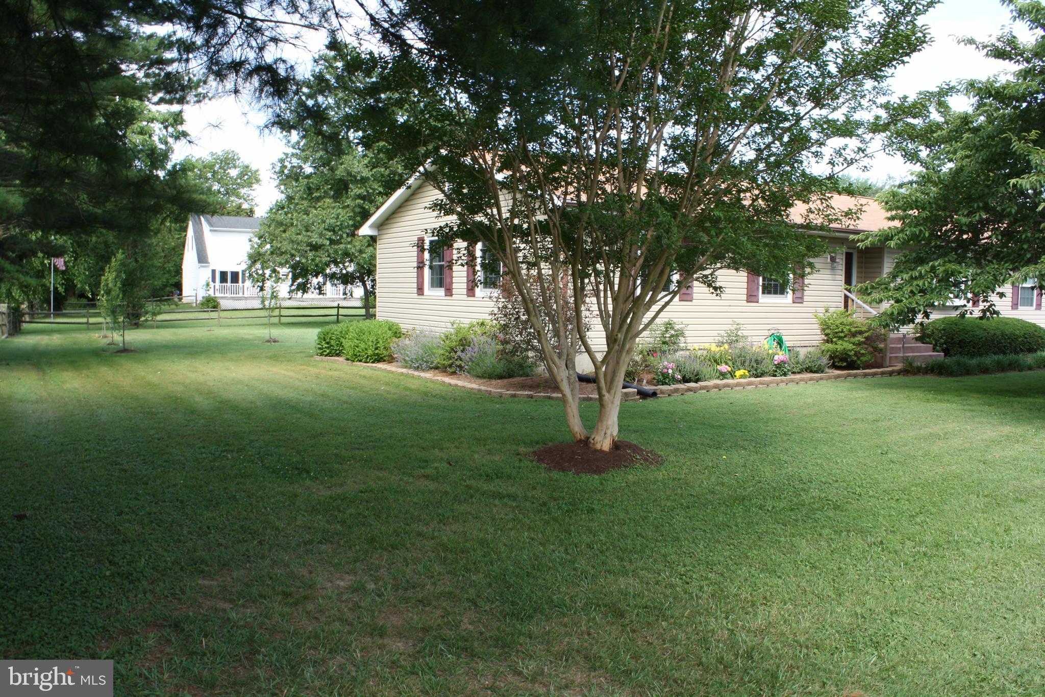 1702 Chester Road Chester, MD 21619 - Photo 26 of 28 Mature landscaping!