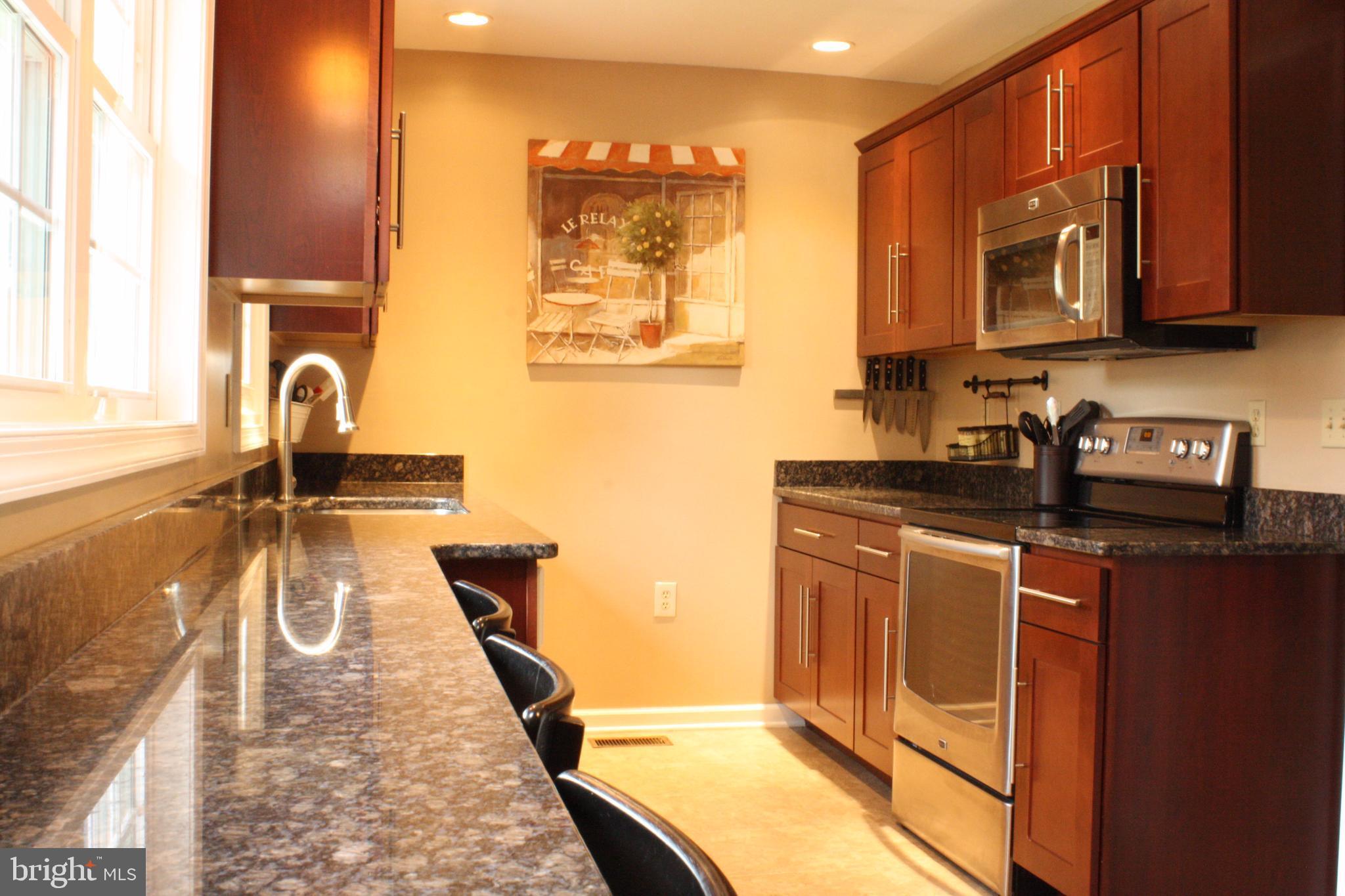 1702 Chester Road Chester, MD 21619 - Photo 5 of 28 Breakfast Bar with view of the backyard!
