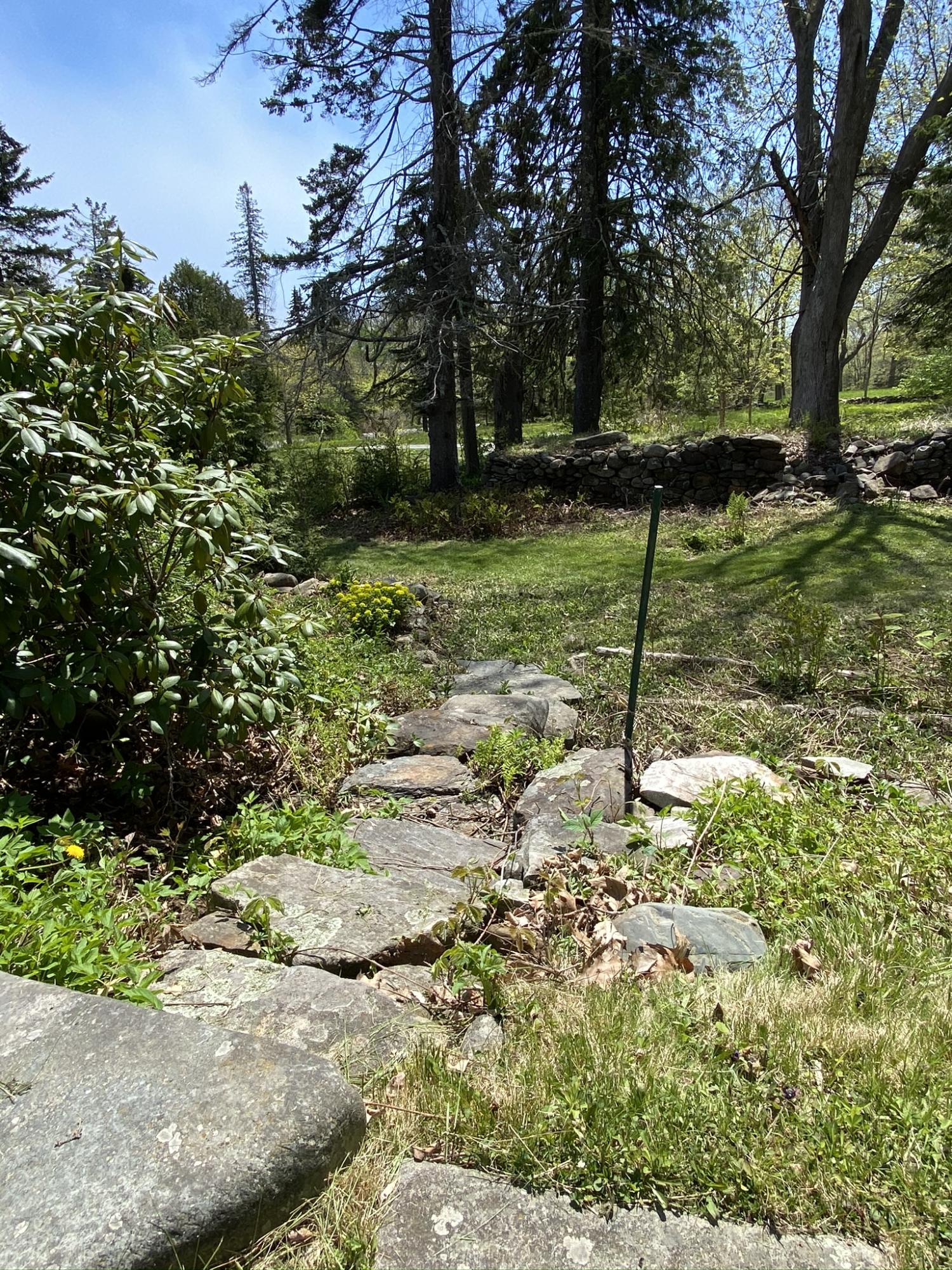 484 Belfast Road Camden, ME 04843 - Photo 10 of 48 IMG_3173