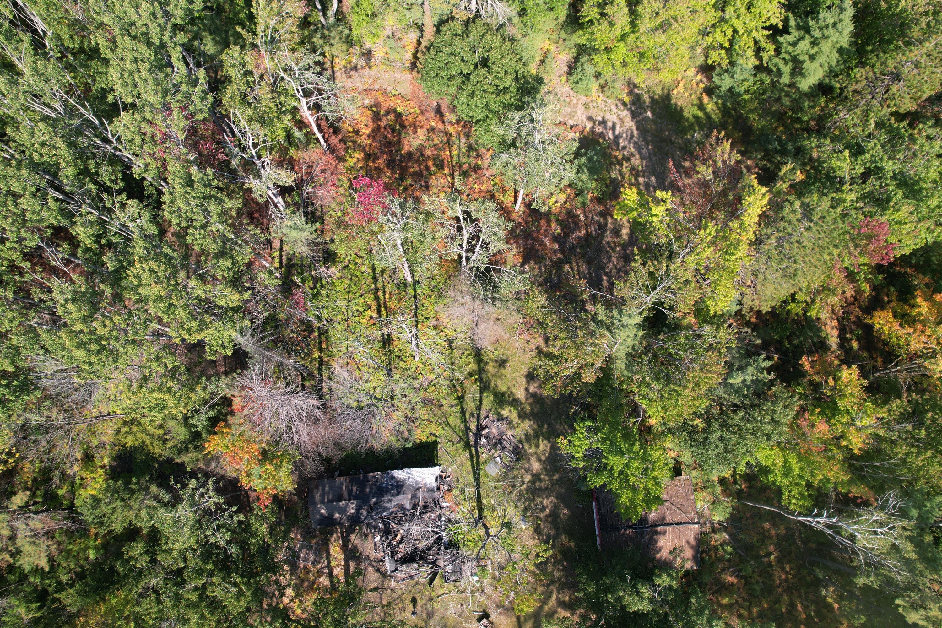 14200 Brown Road Atlanta, MI 49709 - Photo 16 of 16 dji_fly_20250917_143702_80_1758134680619
