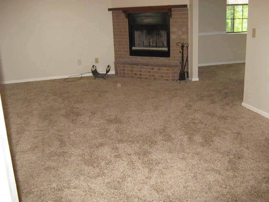 1520 Pine Log Road Aiken, SC 29803 - Photo 4 of 19