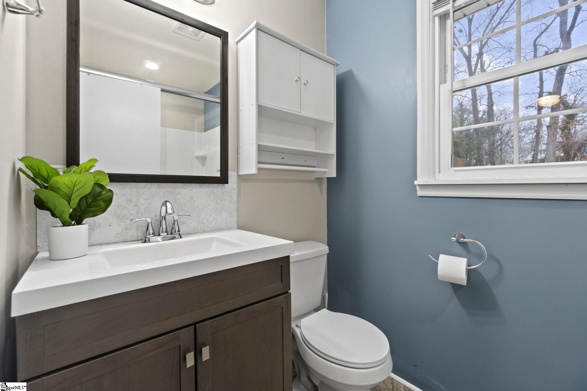3 Ikes Road Taylors, SC 29687 - Photo 19 of 25 Gallery Image 19