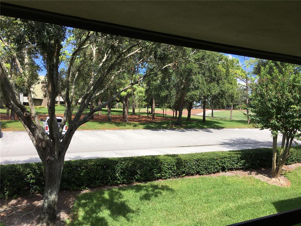 36750 Highway 19, Unit 13214 Palm Harbor, FL 34684 - Photo 12 of 13 a view of yard with a tree