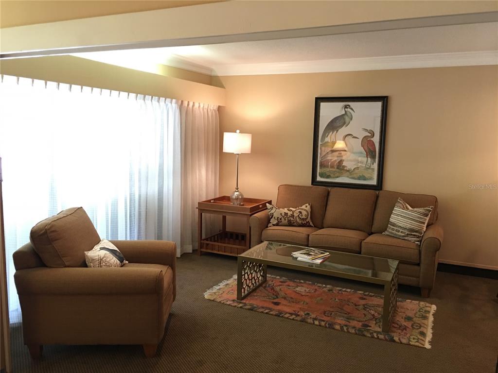 36750 Highway 19, Unit 13214 Palm Harbor, FL 34684 - Photo 3 of 13 a living room with furniture and a window