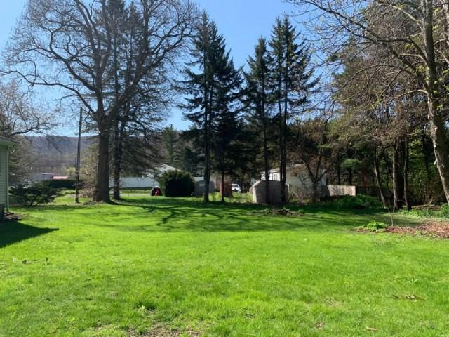 158 South State Road Cheshire, MA 01225 - Photo 10 of 30 Back Yard