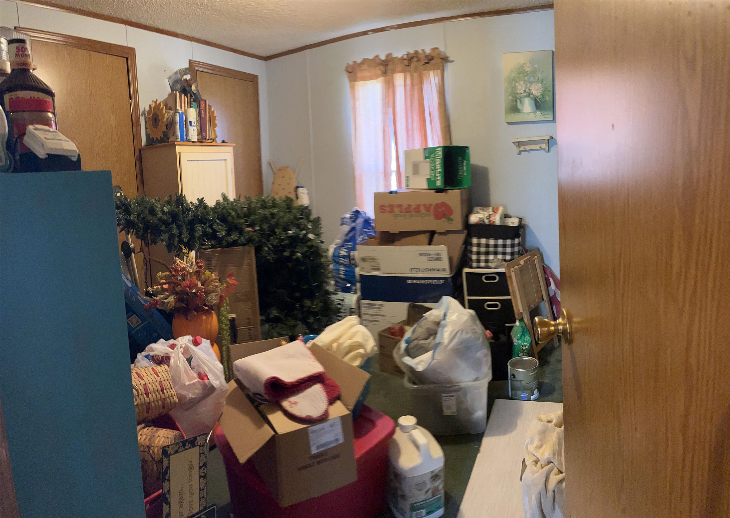 11640 East Briggs Road Crystal, MI 48818 - Photo 34 of 43