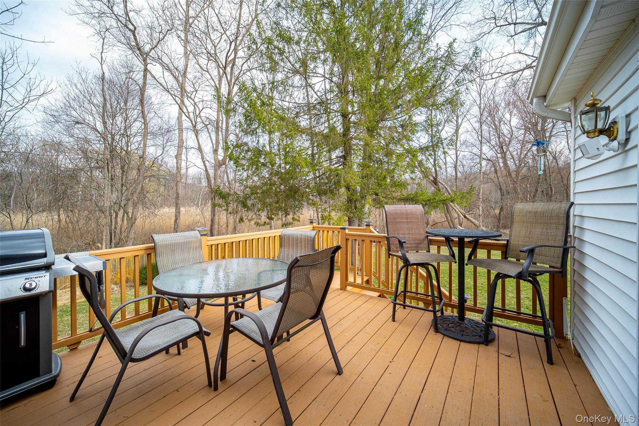 43 Lake Road Hopewell Junction, NY 12533 - Photo 28 of 37