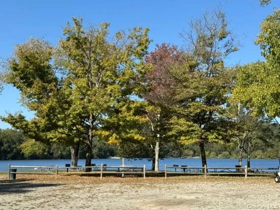 a view of swimming pool with trees