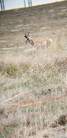 a view of an ocean in a town