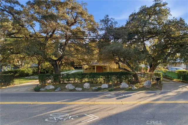 a view of a house with a yard and large tree