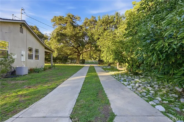 a view of a backyard with potted plants