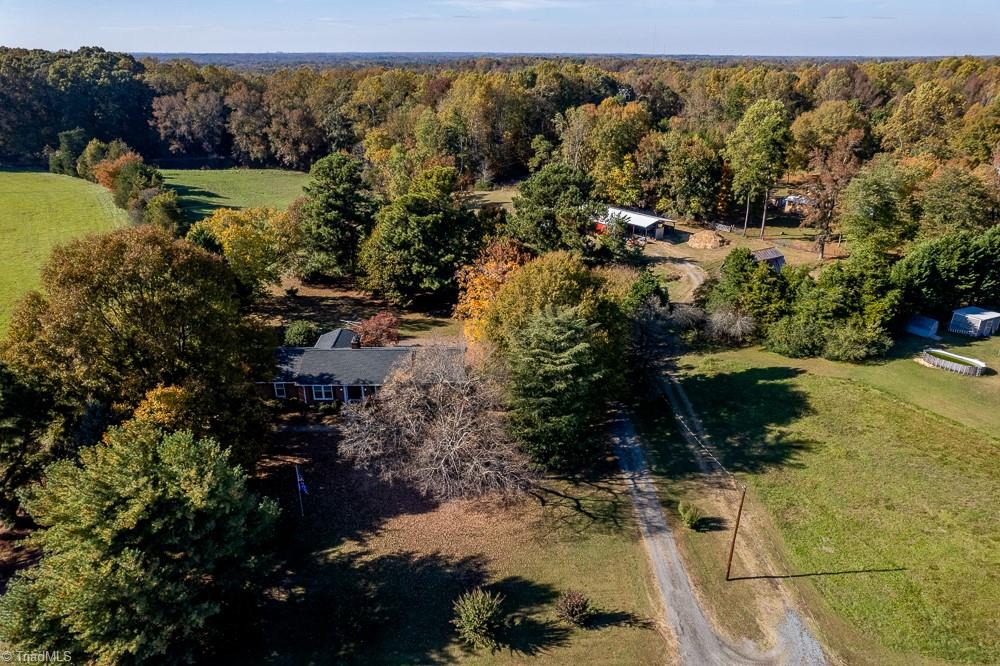 6087 Old Walker Mill Road Randleman, NC 27317 - Photo 36 of 50