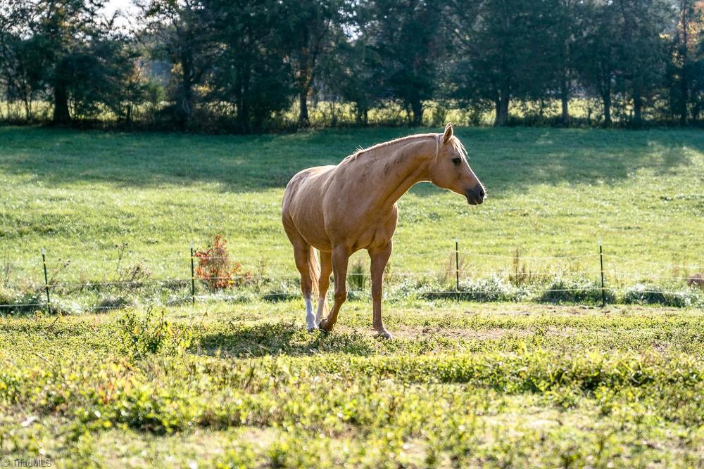 6087 Old Walker Mill Road Randleman, NC 27317 - Photo 44 of 50