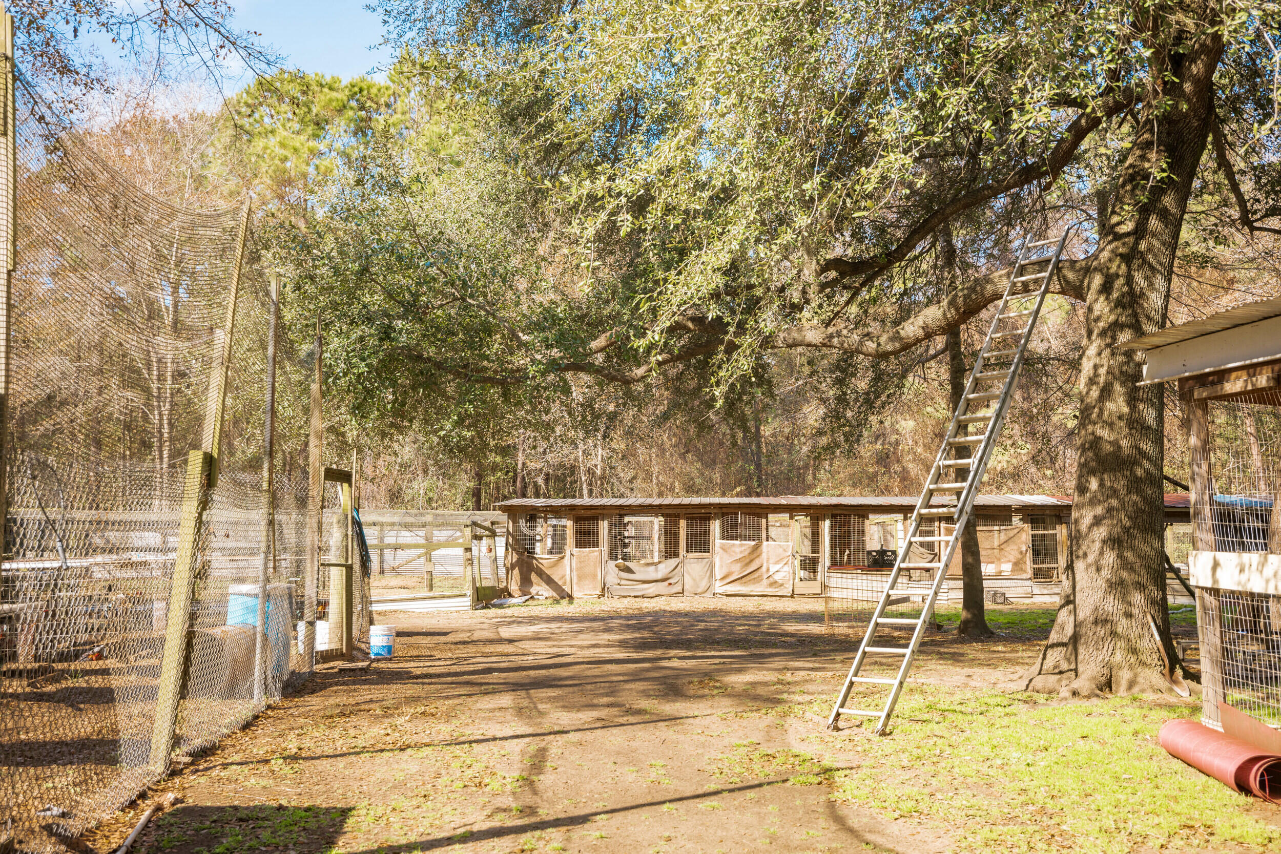 4294 River Road Johns Island, SC 29455 - Photo 51 of 64 18_4294 river rd _mgc7022
