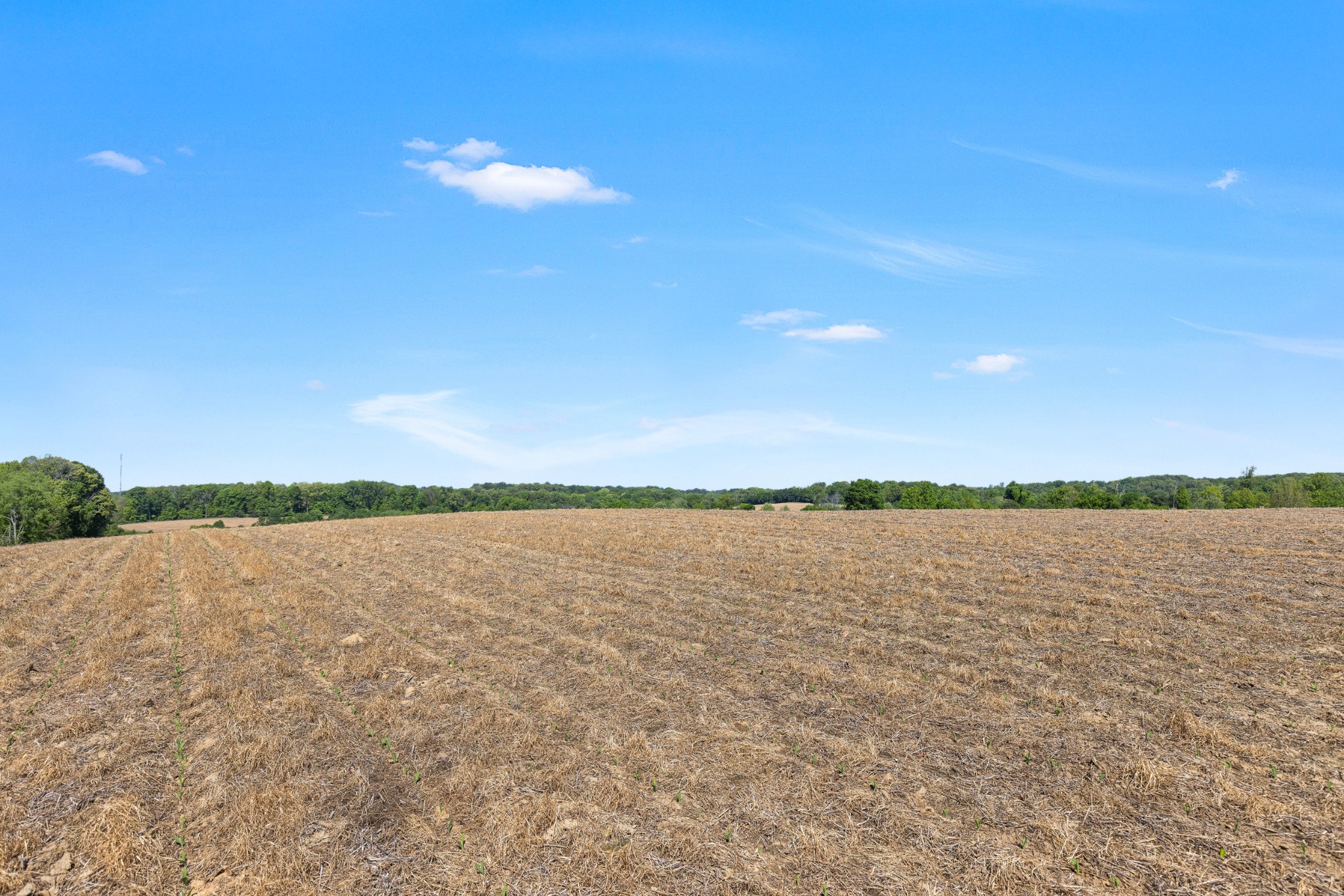 0 Cooper Nicholson Road Pleasant View, TN 37146 - Photo 16 of 23 a view of an ocean and beach