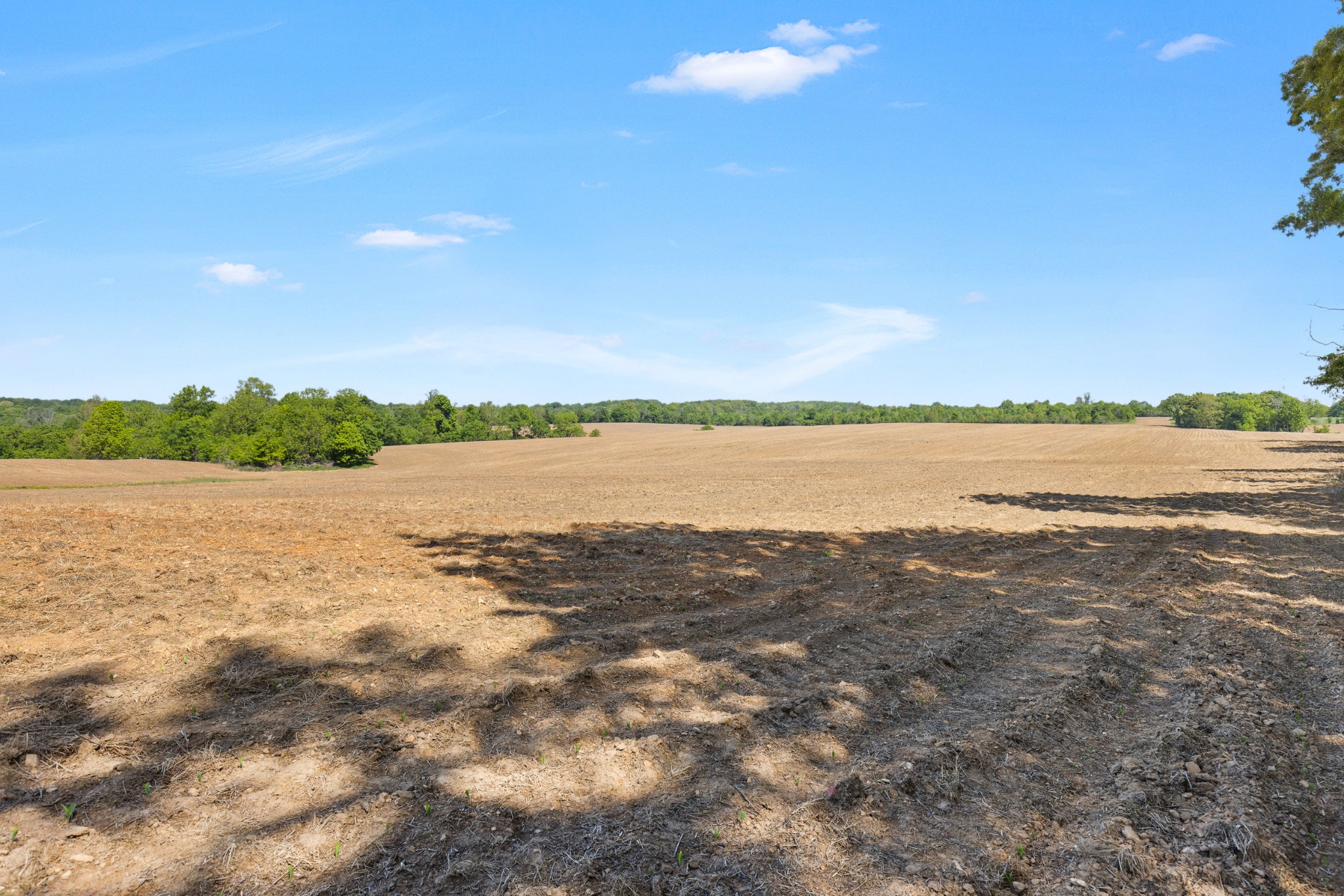 0 Cooper Nicholson Road Pleasant View, TN 37146 - Photo 20 of 23 a view of lake and mountain