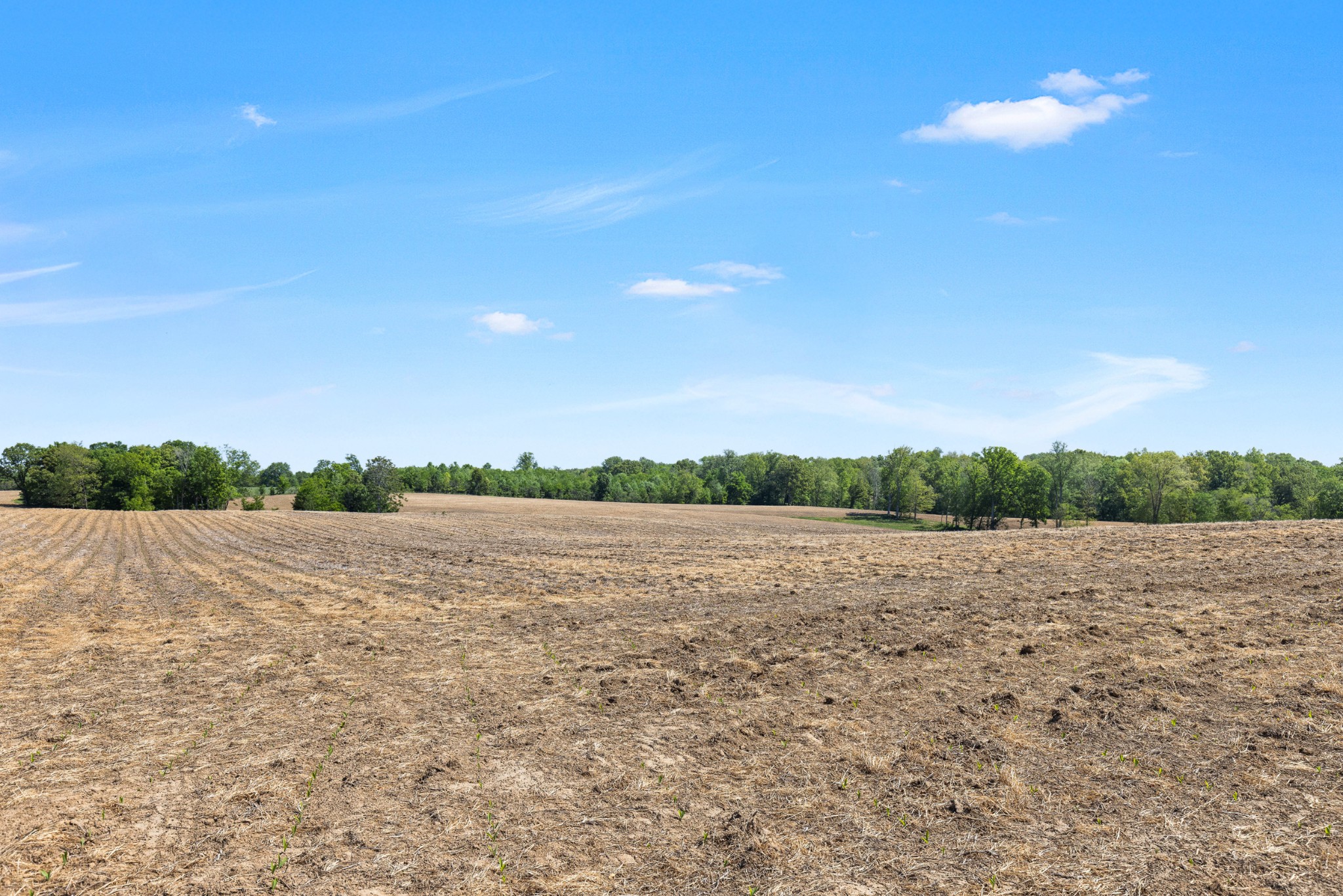 0 Cooper Nicholson Road Pleasant View, TN 37146 - Photo 22 of 23 a view of an ocean beach