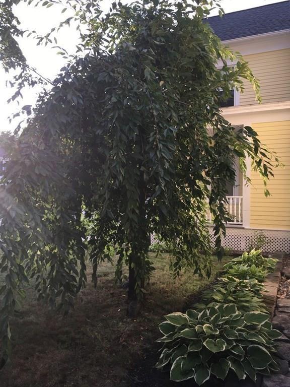 21 Whitman Street Leominster, MA 01453 - Photo 33 of 35 a backyard of a house with lots of green space
