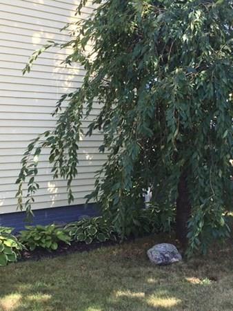21 Whitman Street Leominster, MA 01453 - Photo 34 of 35 a view of a backyard of the house