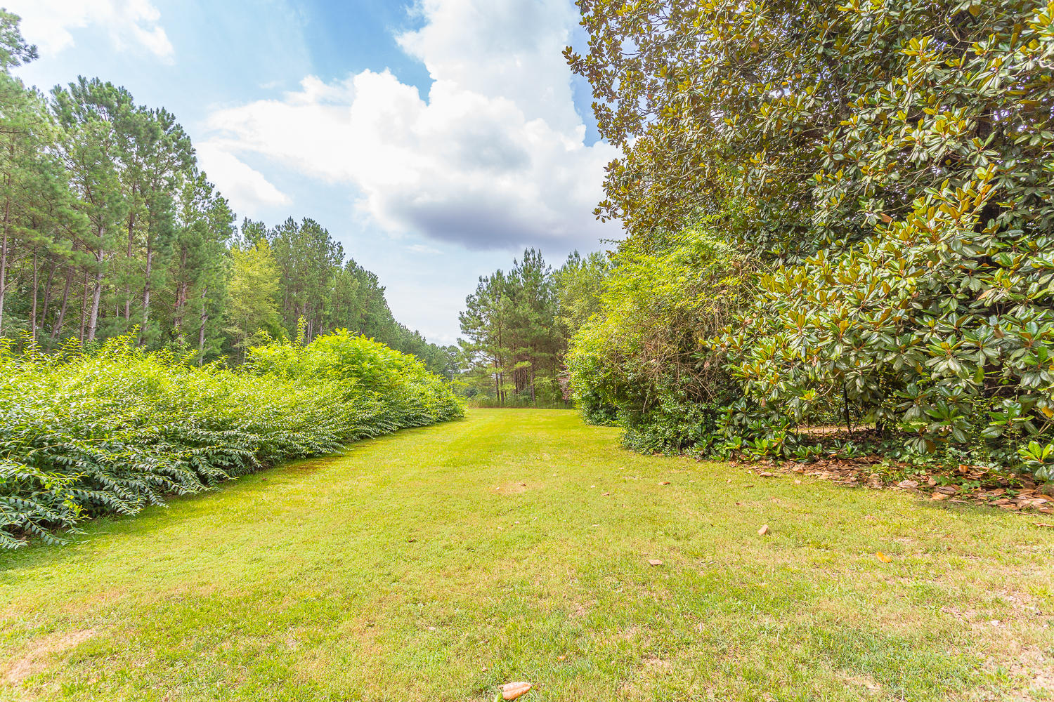 1442 Walnut Grove Road LaFayette, GA 30728 - Photo 3 of 89 1442 Walnut Grove HD -2