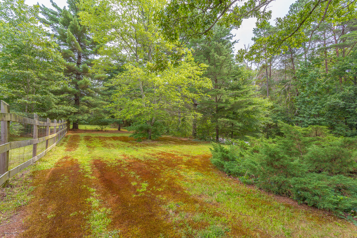 1442 Walnut Grove Road LaFayette, GA 30728 - Photo 9 of 89 1442 Walnut Grove HD -9