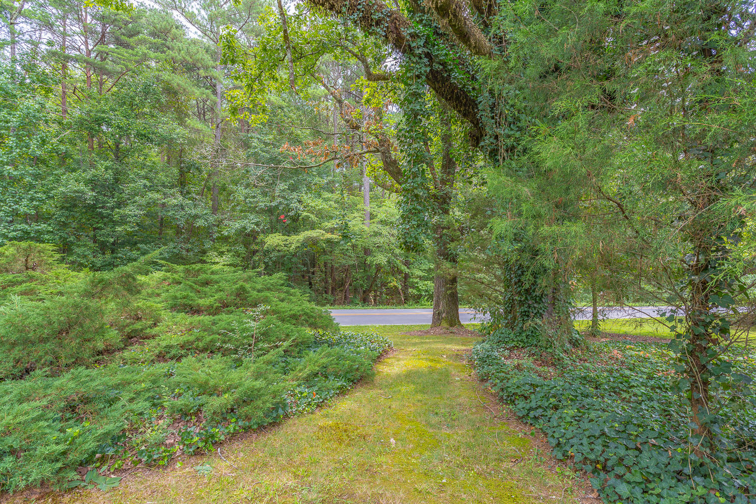 1442 Walnut Grove Road LaFayette, GA 30728 - Photo 10 of 89 1442 Walnut Grove HD -10