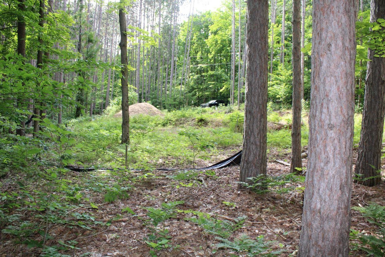 2750 Apple Creek Road Kalkaska, MI 49646 - Photo 16 of 24
