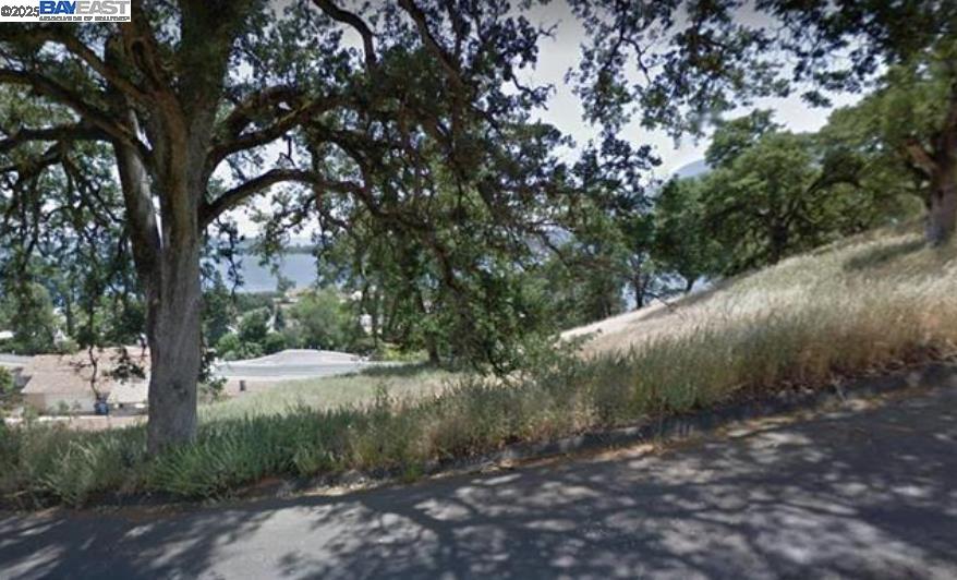 7720 Verna Way Lucerne, CA 95458 - Photo 4 of 10 a view of a yard with plants and a large tree