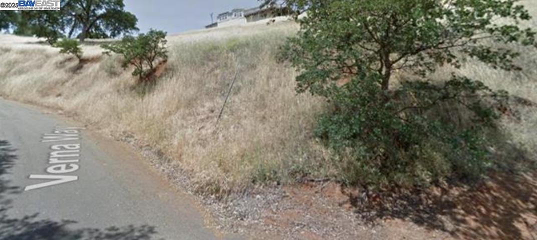 7720 Verna Way Lucerne, CA 95458 - Photo 7 of 10 a view of a dry yard with trees