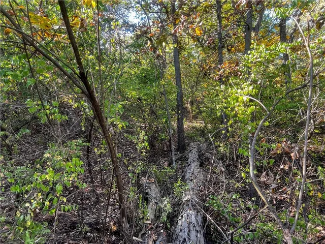 $299,000 | 0 Southeast 10th Street, Tecumseh, KS 66542