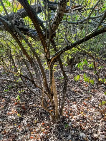 $299,000 | 0 Southeast 10th Street, Tecumseh, KS 66542