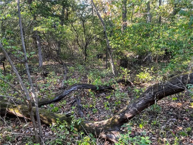 $299,000 | 0 Southeast 10th Street, Tecumseh, KS 66542