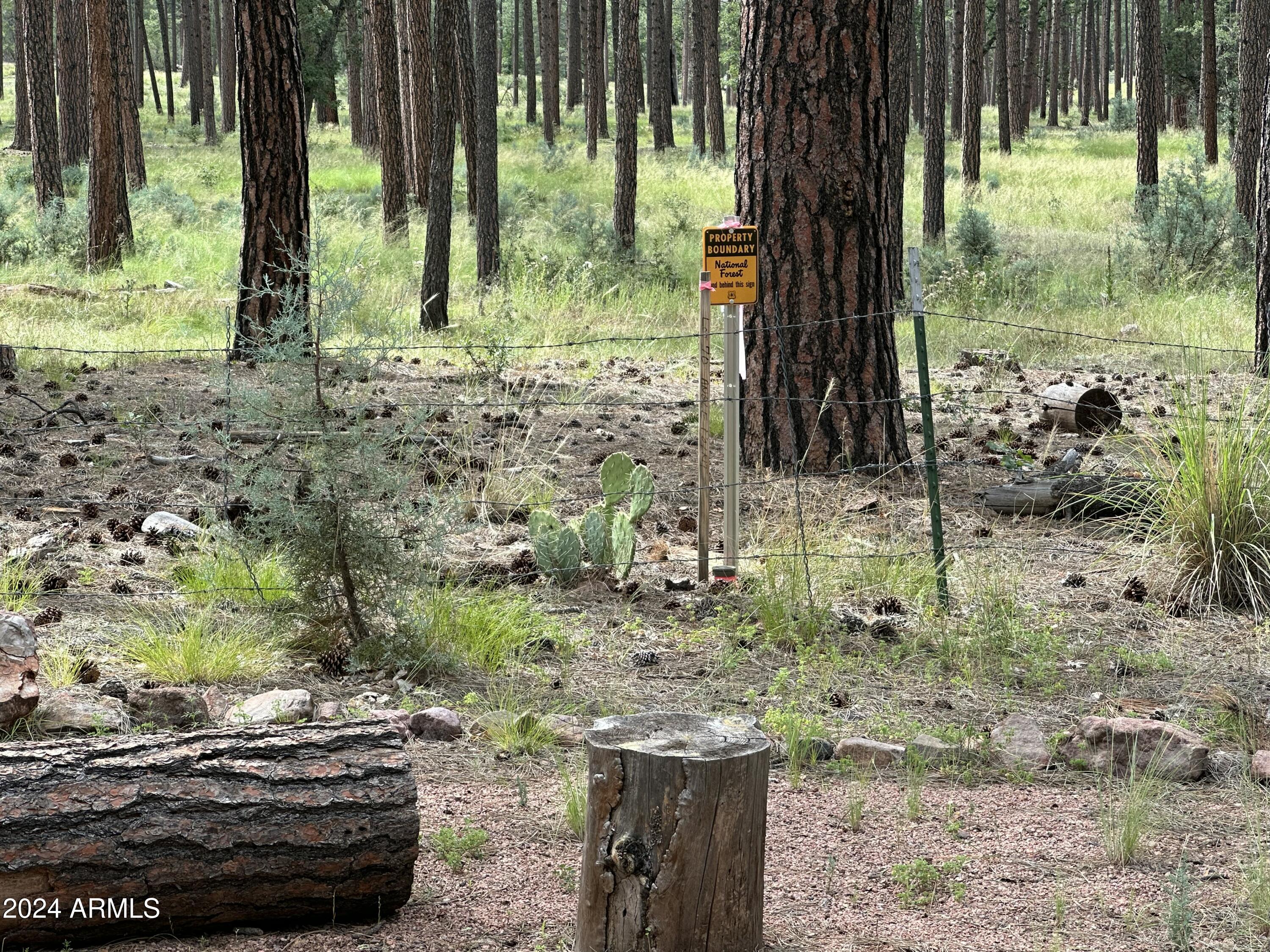 260 West Draw Loop Payson, AZ 85541 - Photo 3 of 23 Tonto National Forest