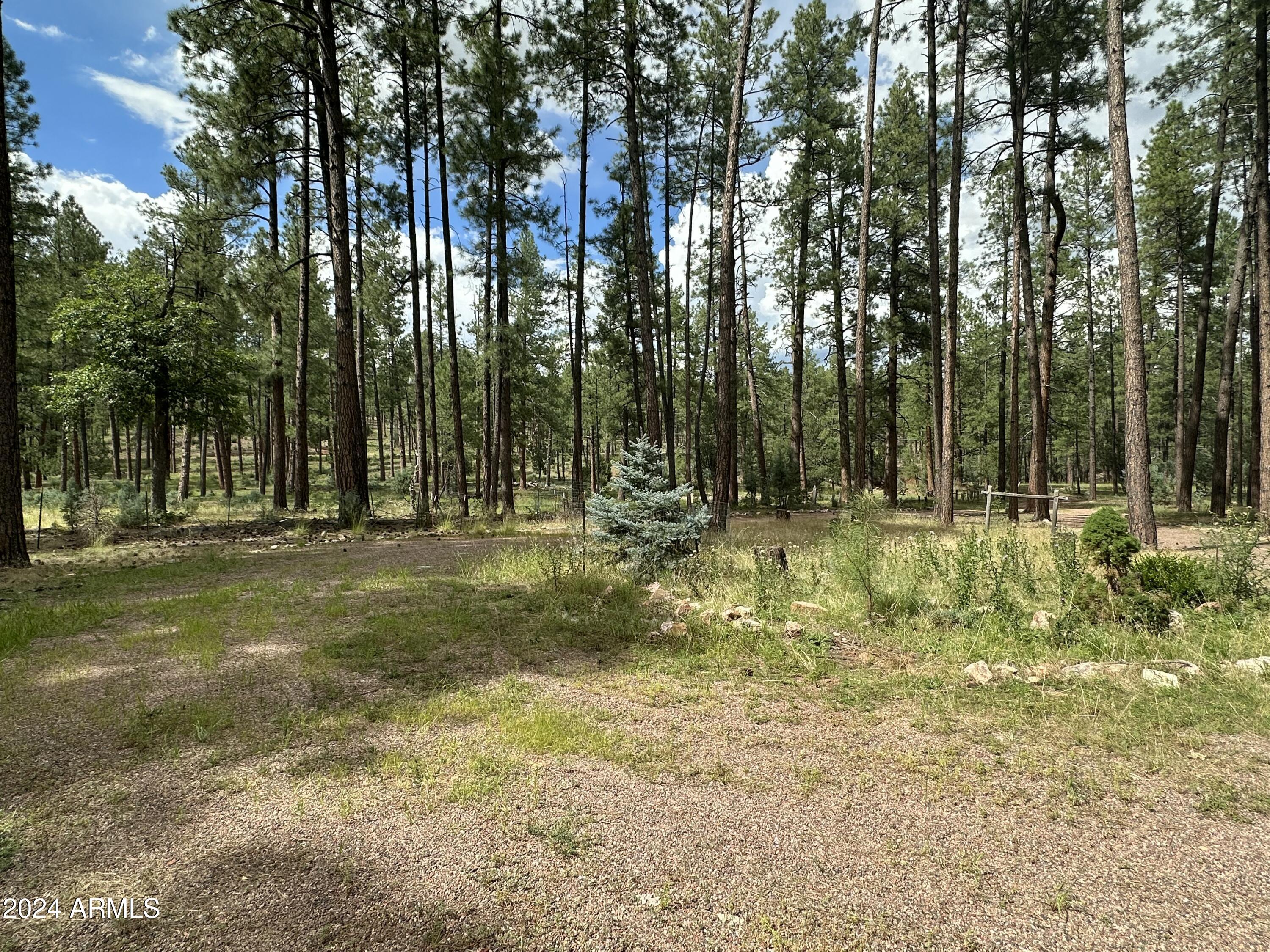 260 West Draw Loop Payson, AZ 85541 - Photo 4 of 23 property