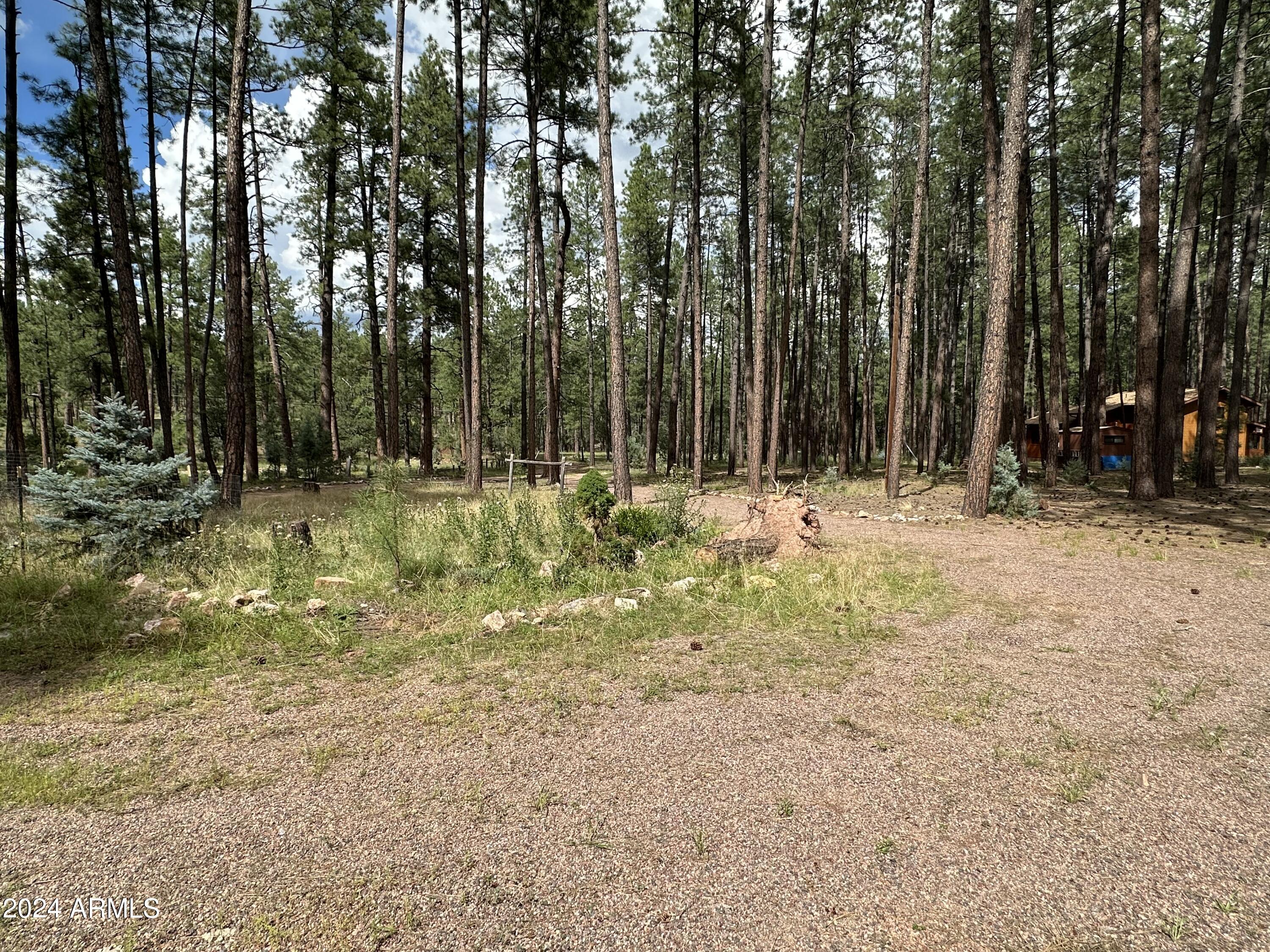 260 West Draw Loop Payson, AZ 85541 - Photo 5 of 23 property