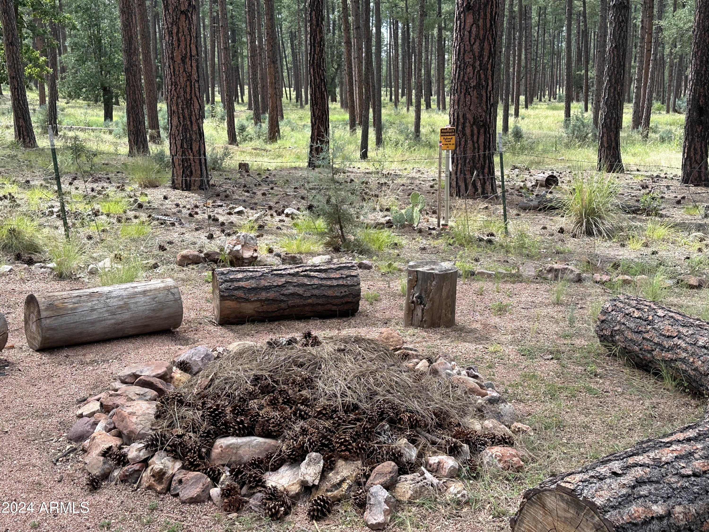 260 West Draw Loop Payson, AZ 85541 - Photo 6 of 23 firepit