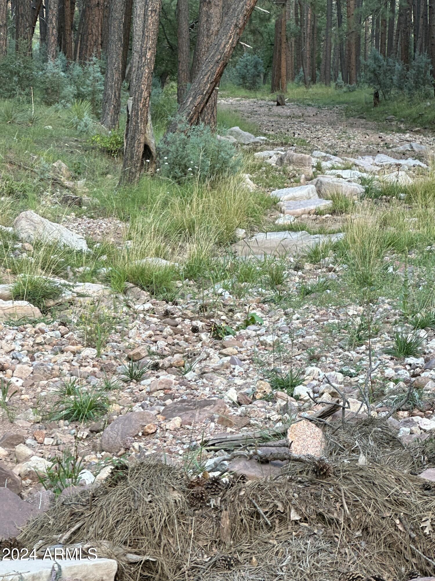 260 West Draw Loop Payson, AZ 85541 - Photo 7 of 23 creek