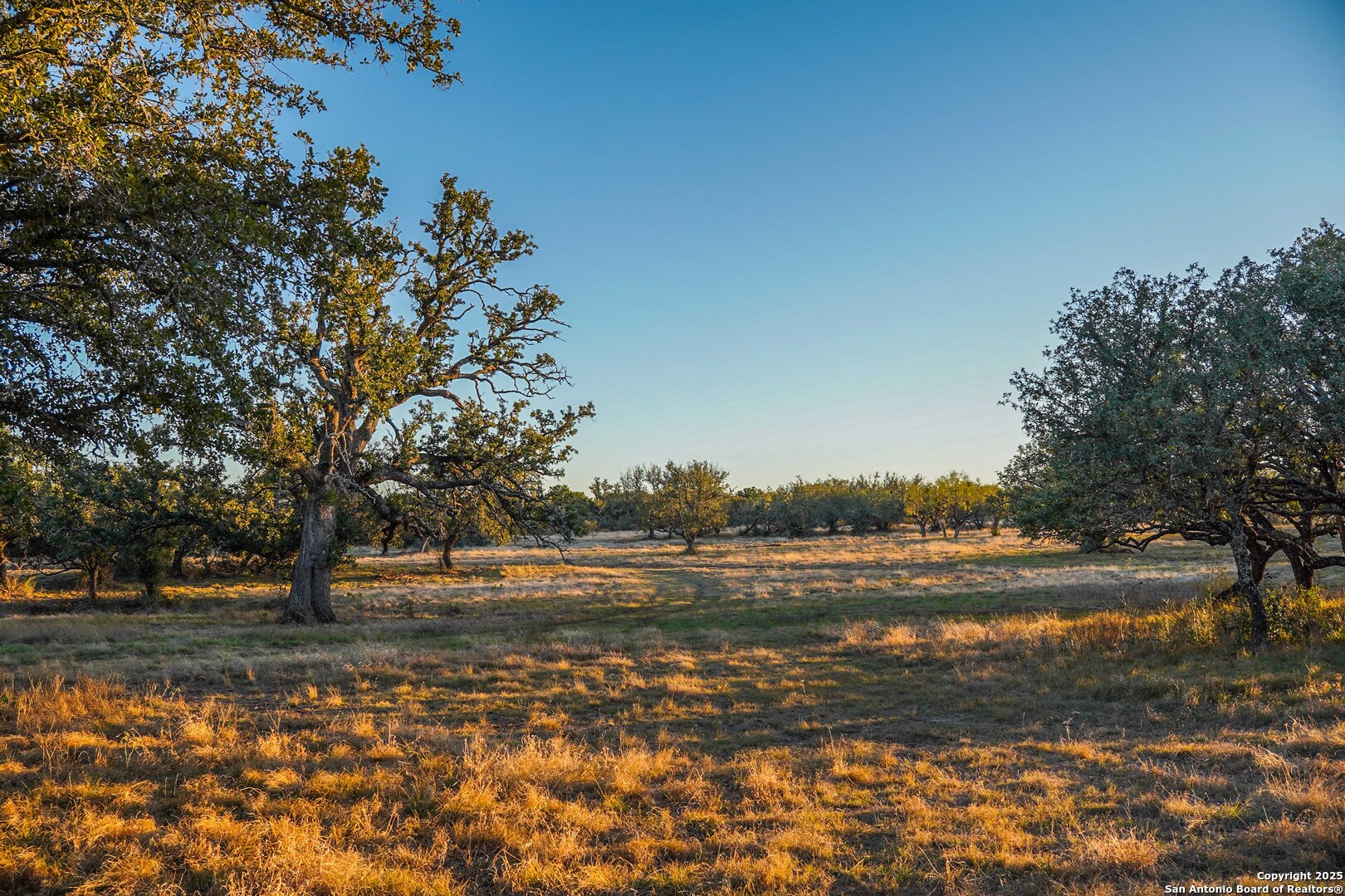 1950 Tolles Road Menard, TX 76859 - Photo 35 of 54 a view of road with large trees