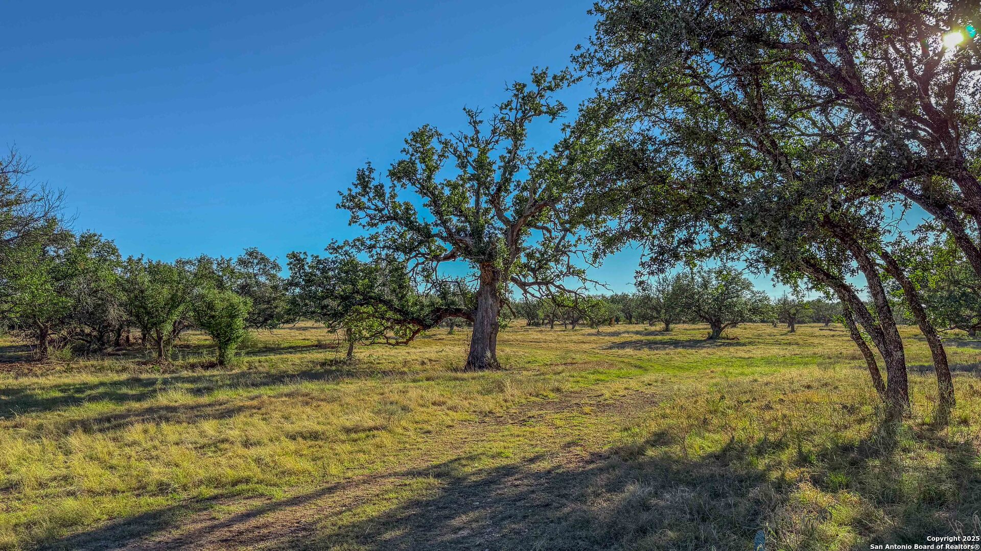 1950 Tolles Road Menard, TX 76859 - Photo 47 of 54 a view of yard with trees