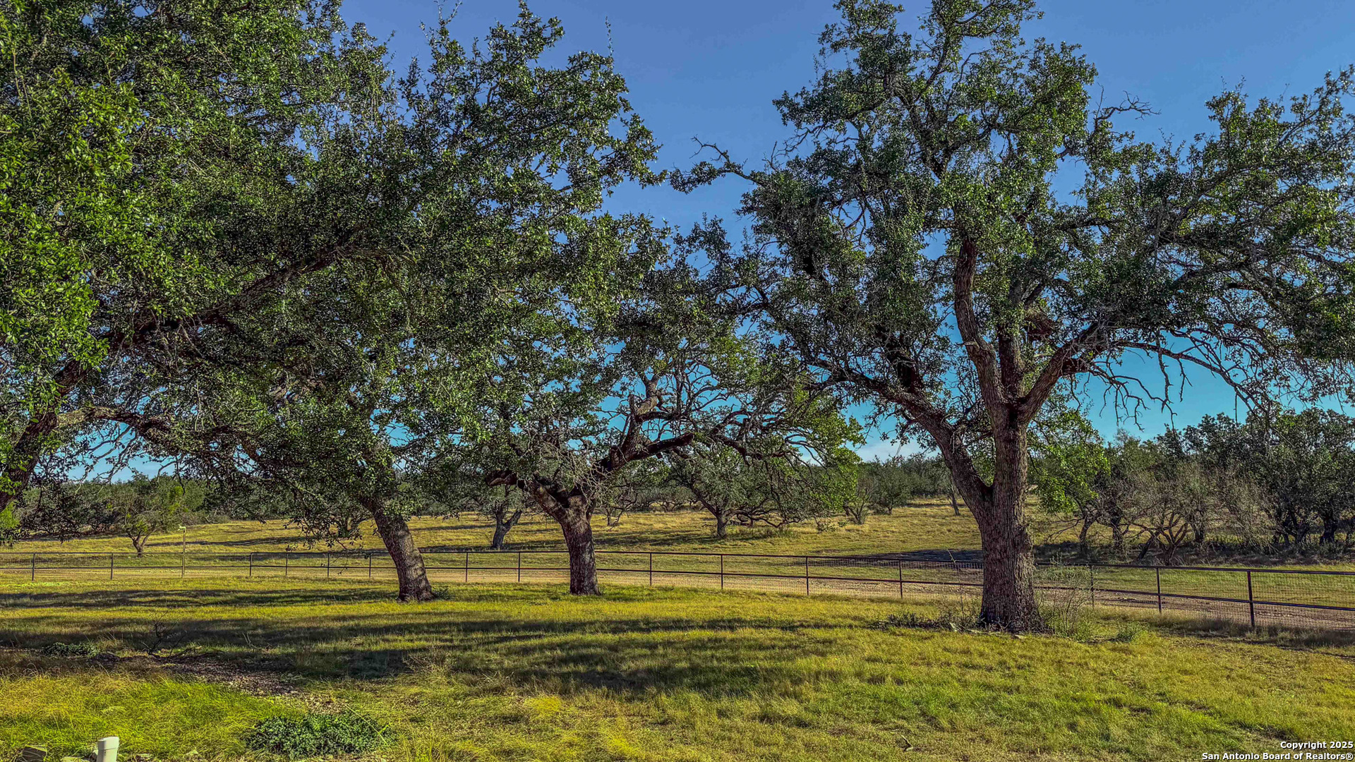 1950 Tolles Road Menard, TX 76859 - Photo 48 of 54 a view of outdoor space with trees all around
