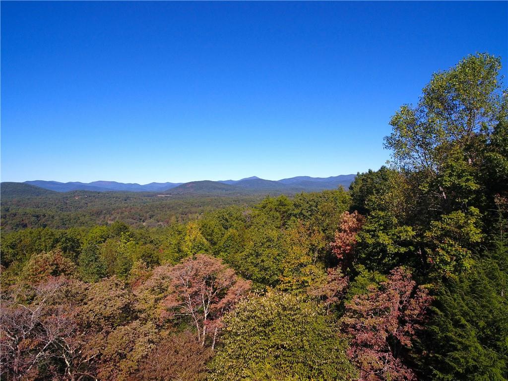 0 Logan's Ridge Road Cleveland, GA 30528 - Photo 1 of 1