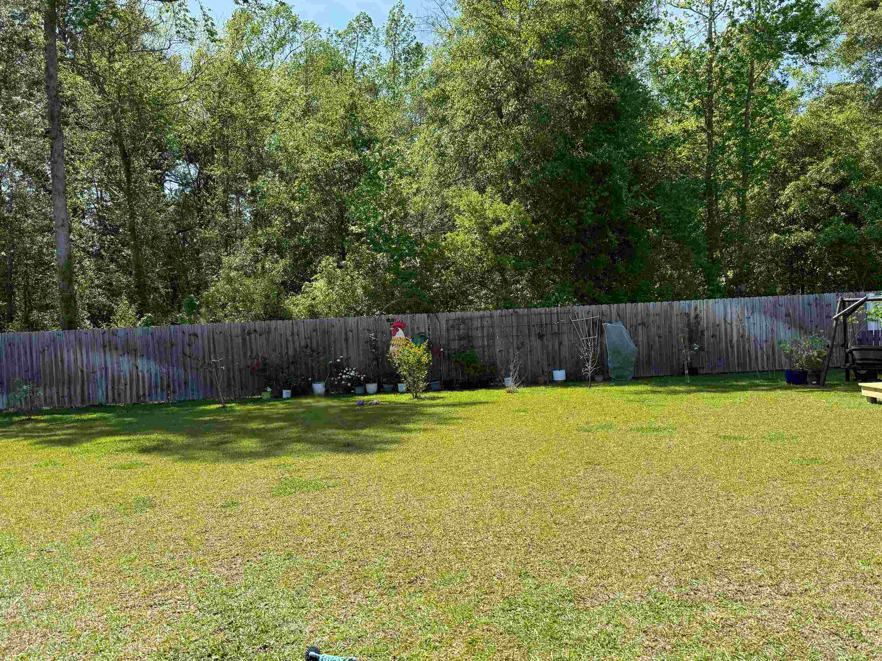 134 Kingston Bluff Drive Longs, SC 29568 - Photo 22 of 26