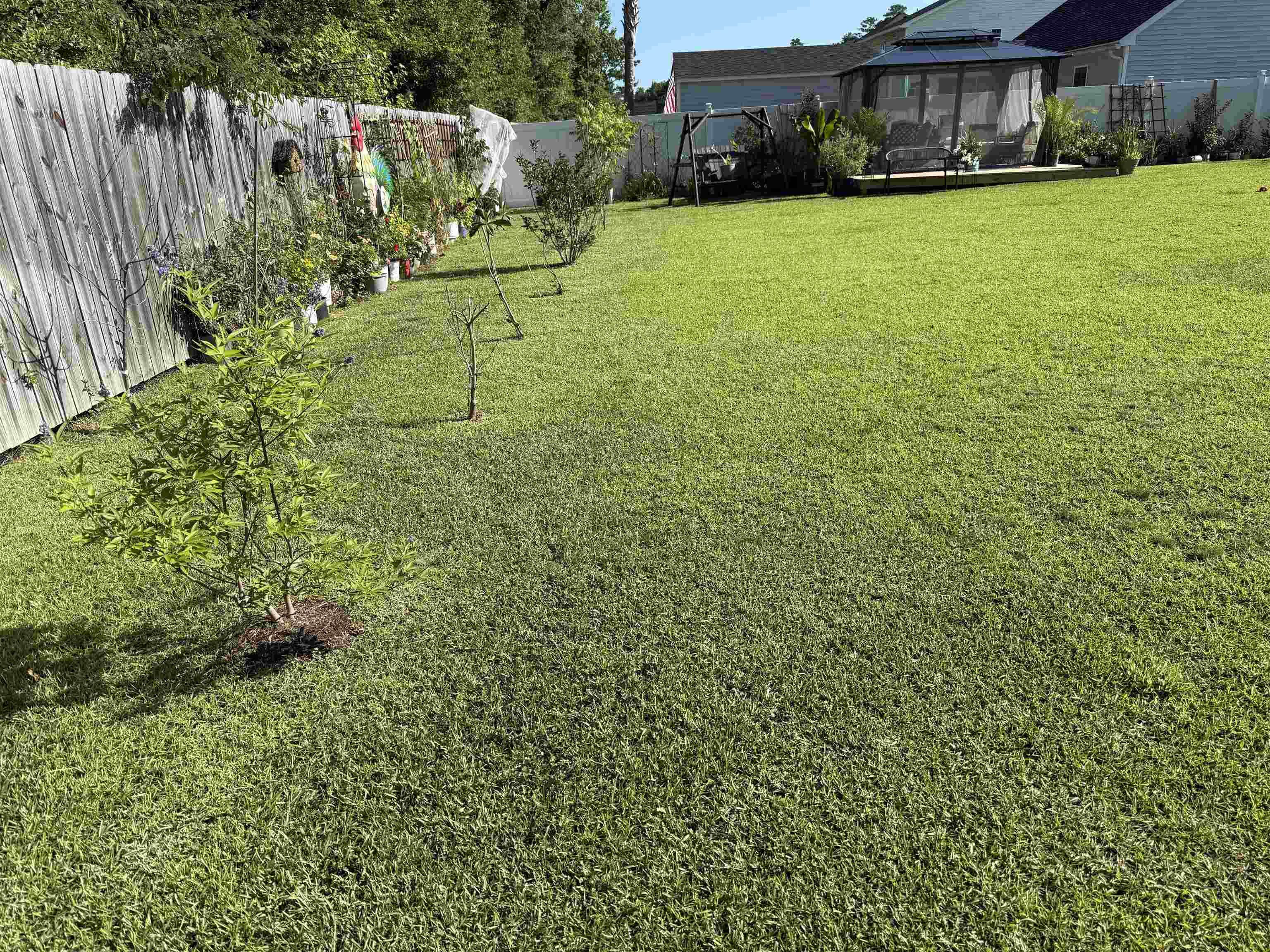 134 Kingston Bluff Drive Longs, SC 29568 - Photo 23 of 26