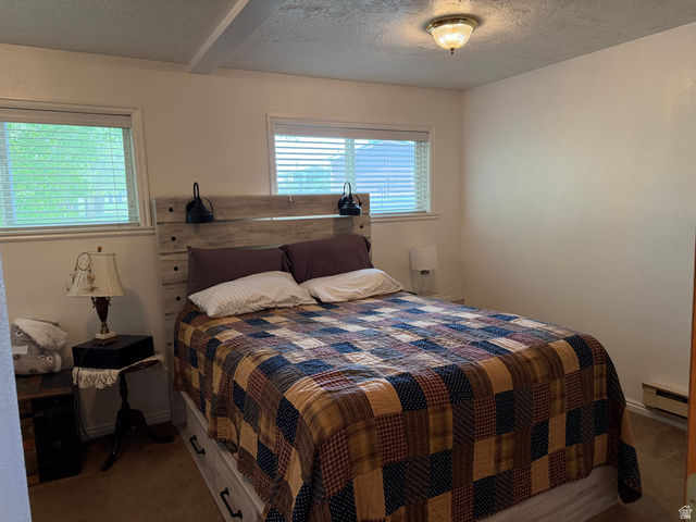 1043 East 4000th Street South Vernal, UT 84078 - Photo 17 of 31 Bedroom featuring twin windows with blinds, a wood-finish headboard, a ceiling-mounted light fixture, and baseboard heating